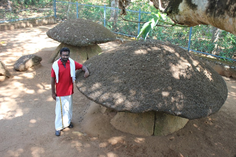 Ariyannur Umbrella Stones - Photo 2