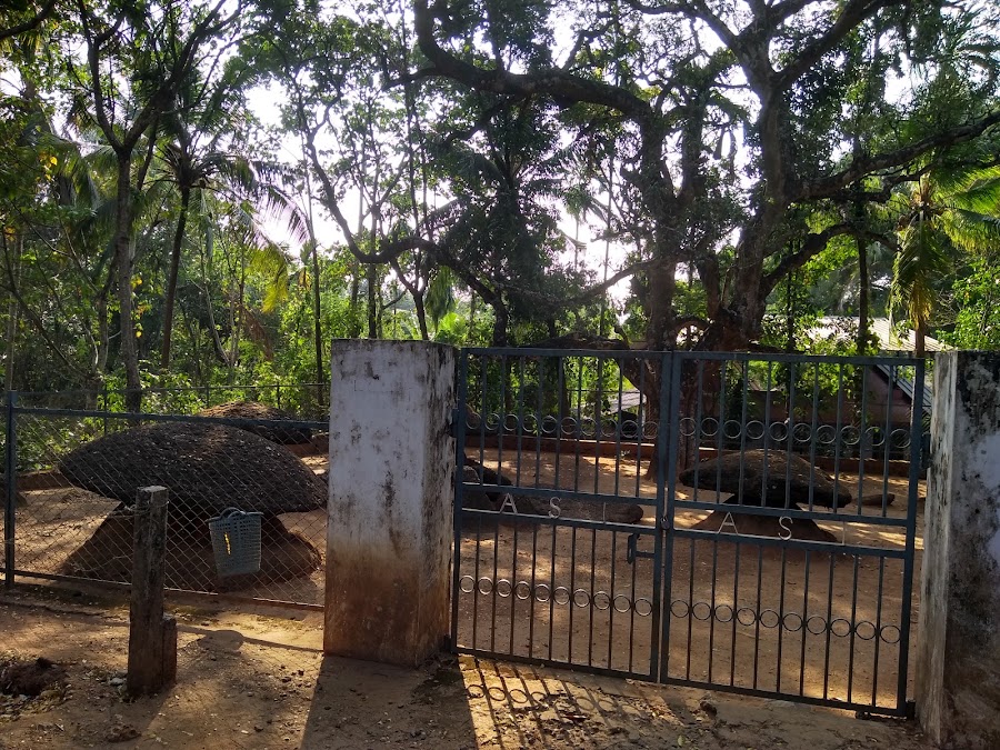 Ariyannur Umbrella Stones - Photo 3