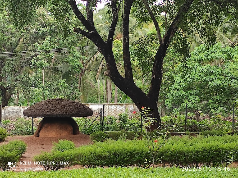 Ariyannur Umbrella Stones - Photo 4