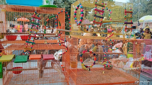 Laal Darwaza Market - Photo 2