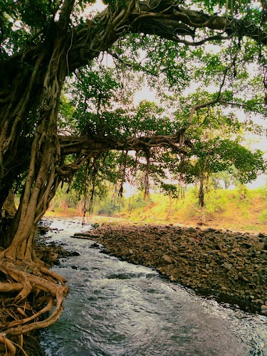 Chikhaldara - Photo 2