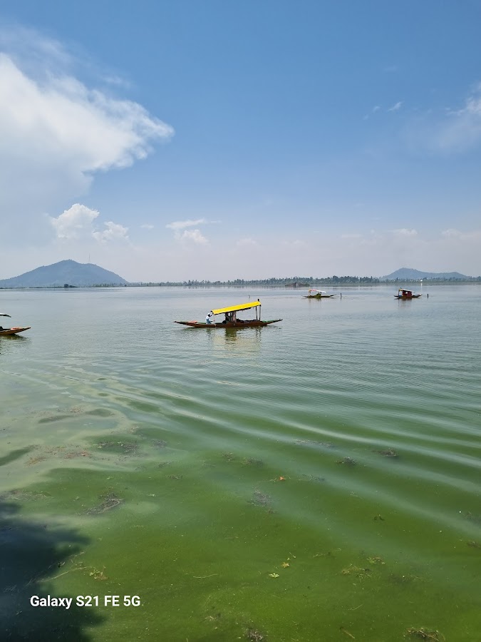 Shikara Ride - Photo 2