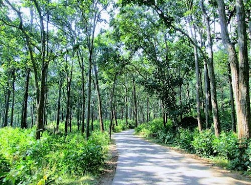 Sonmuda Amarkantak - Photo 3