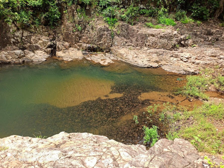 Ushakothi Wildlife Sanctuary - Photo 3