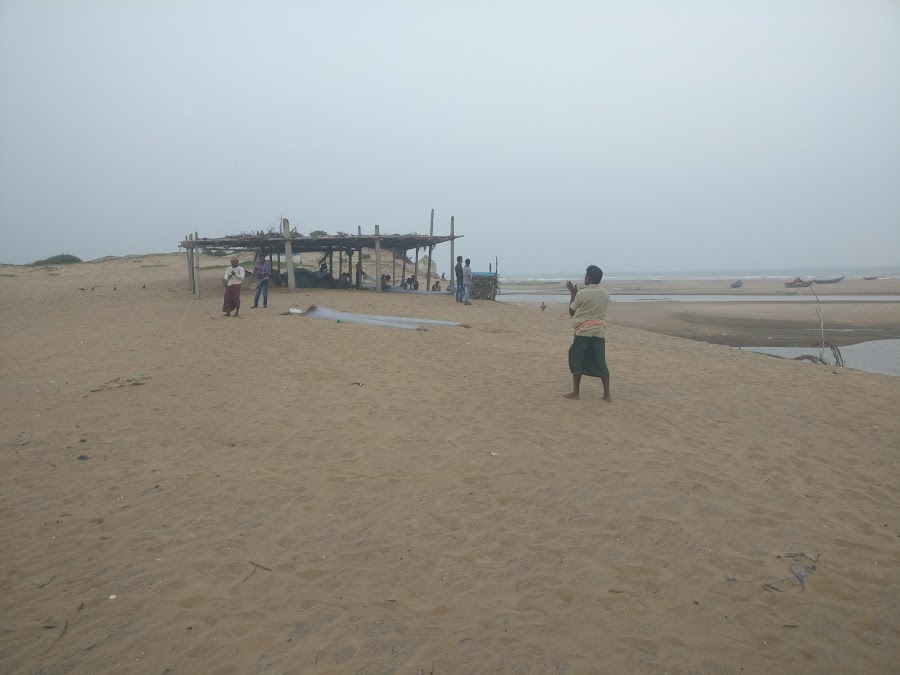 Rushikulya Beach - Photo 4