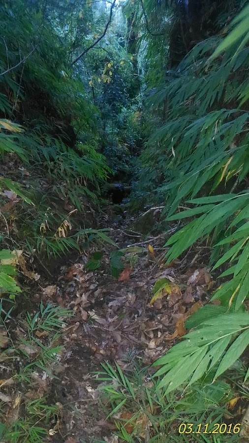 Khawnglung Wildlife Sanctuary - Photo 2