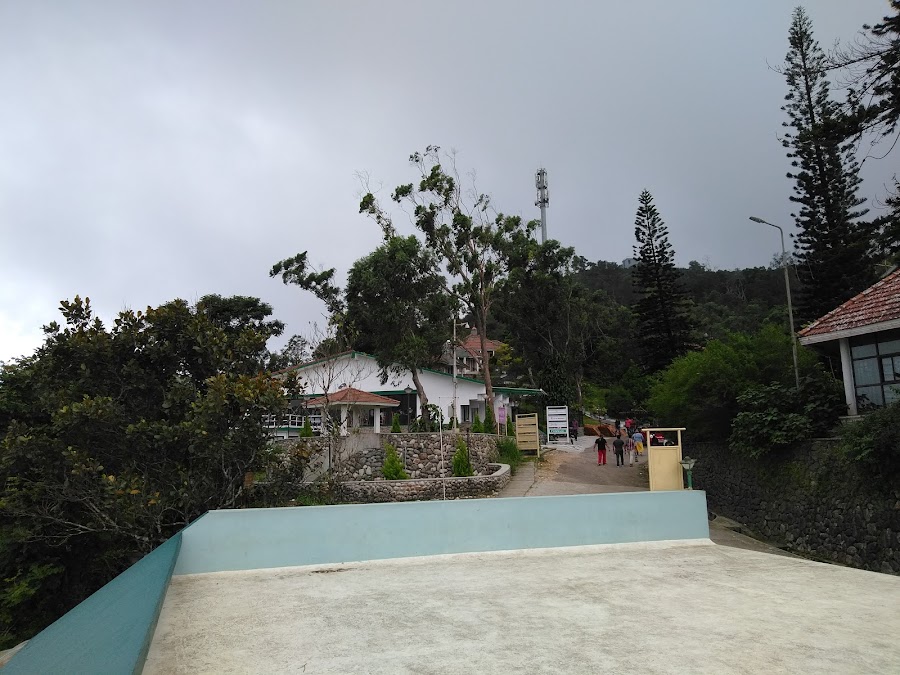 Ponmudi Peak - Photo 3
