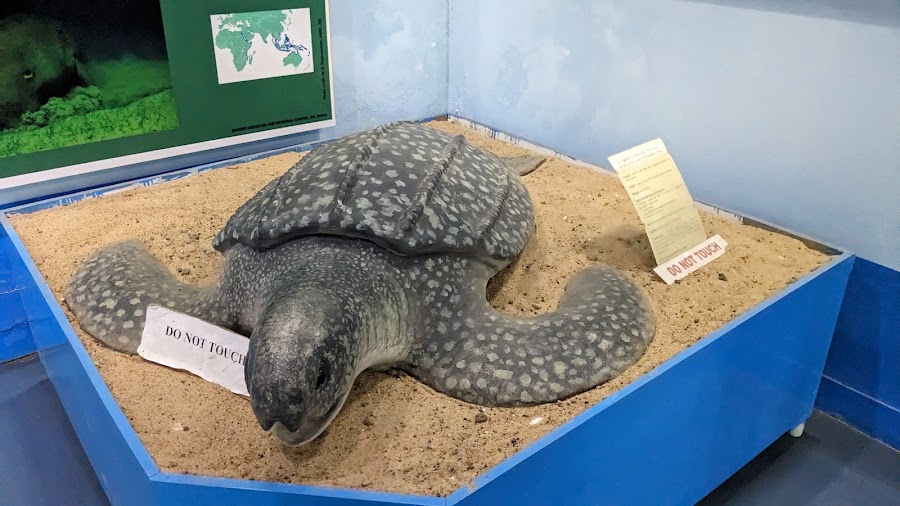 Marine Aquarium and Regional Centre - Photo 7