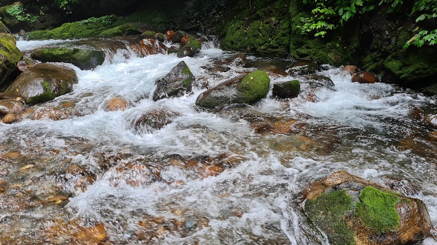 Kanchenjunga Falls - Photo 3