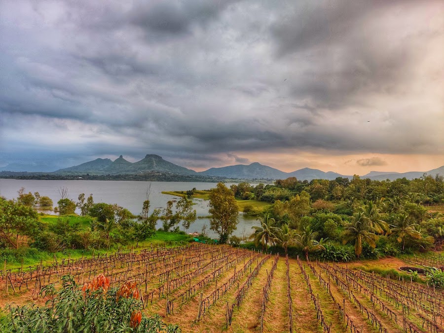 Vallonne Vineyards - Photo 3
