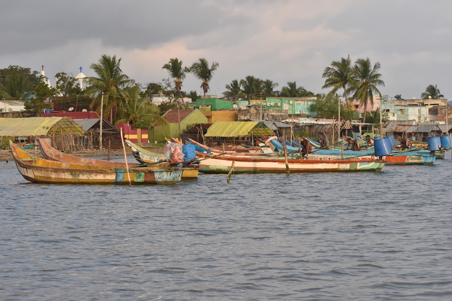 Pulicat Lake - Photo 4