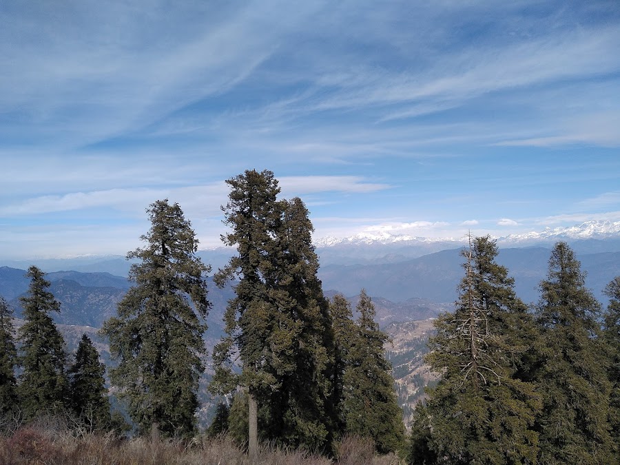 Kaudia Range - Photo 3