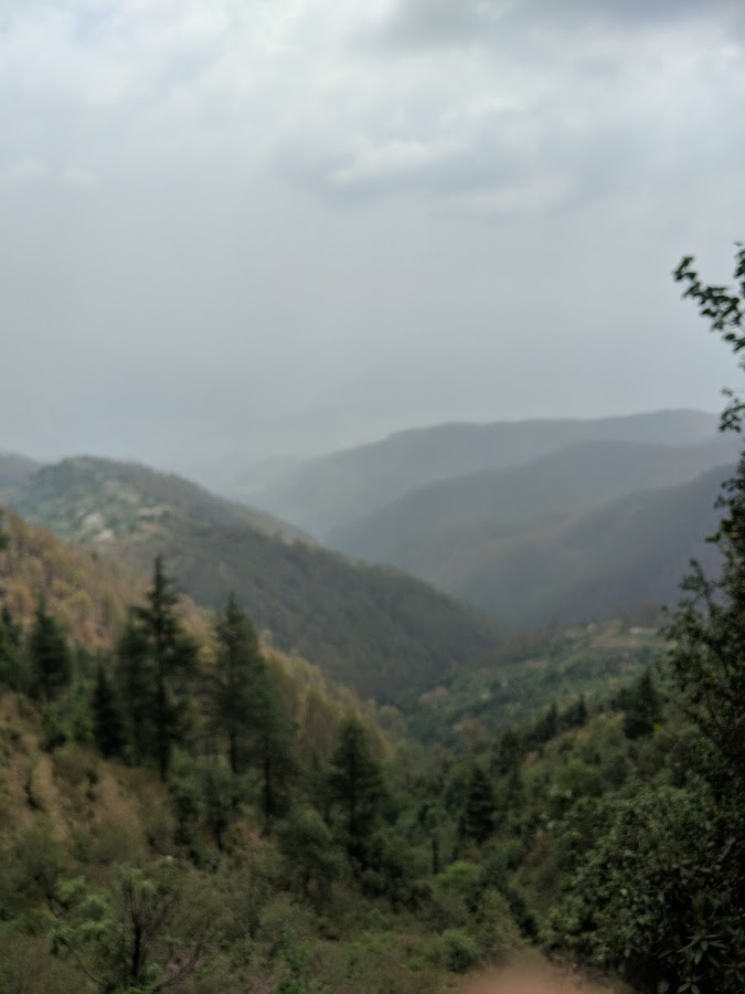 Kaudia Range - Photo 4