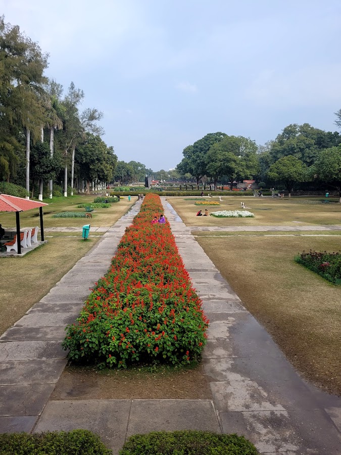 Terraced Garden - Photo 3