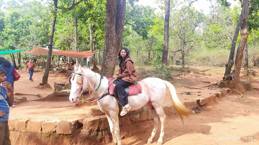 Handi Khoh - Photo 2