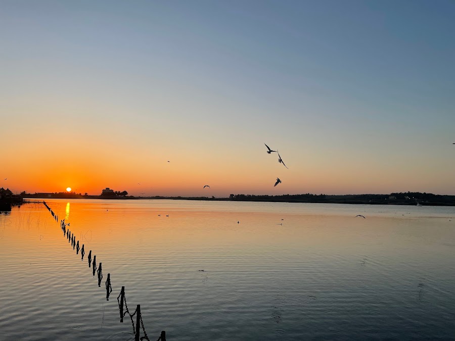 Triveni Sangam - Photo 2