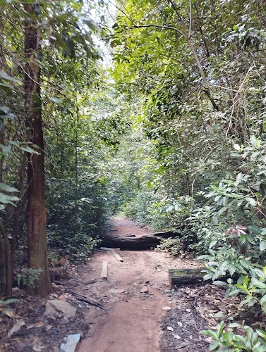 Jogigundi Falls - Photo 4