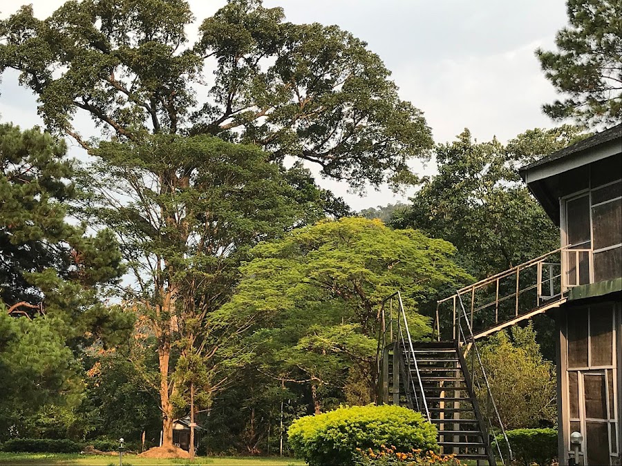 Namdapha National Park - Photo 4