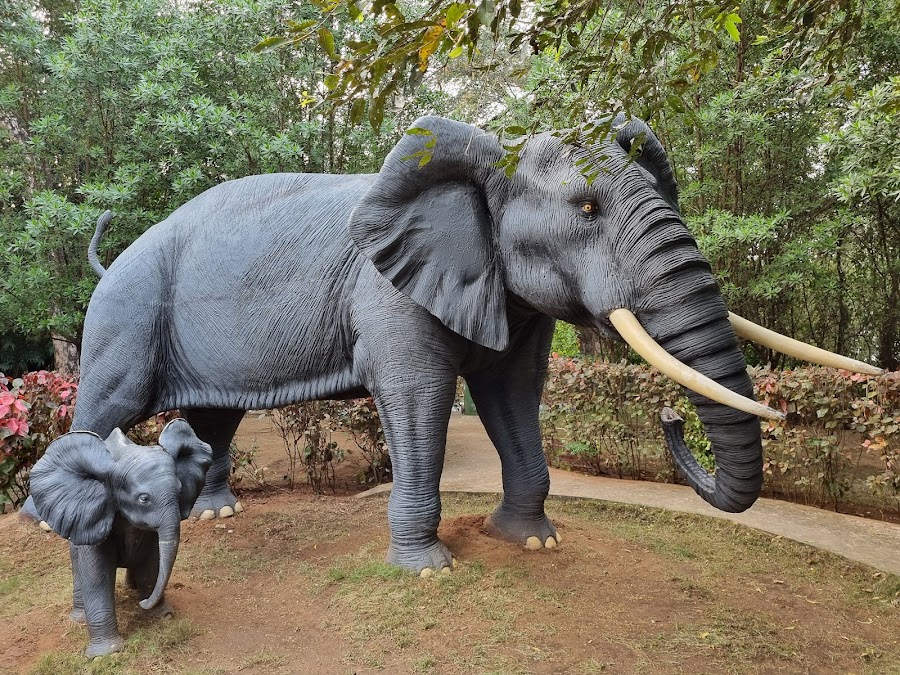 Bhavani Island - Photo 4