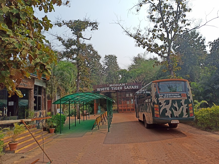 White Tiger Safari - Photo 4