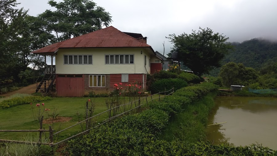 Nillai Tea Estate - Photo 4
