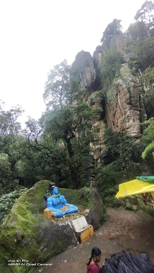 Rajat Waterfall - Photo 4