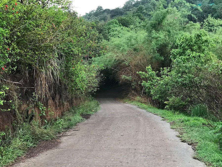 Pandikuzhi - Photo 3