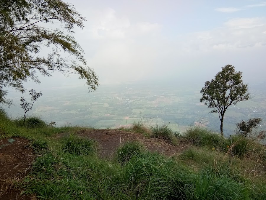 Pandikuzhi - Photo 4