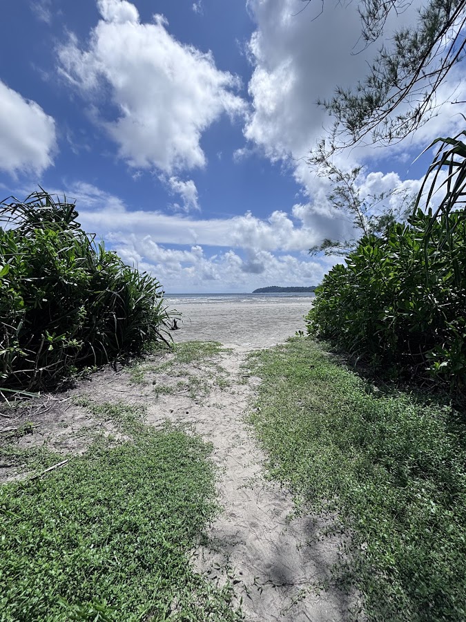 Galathea National Park - Photo 2