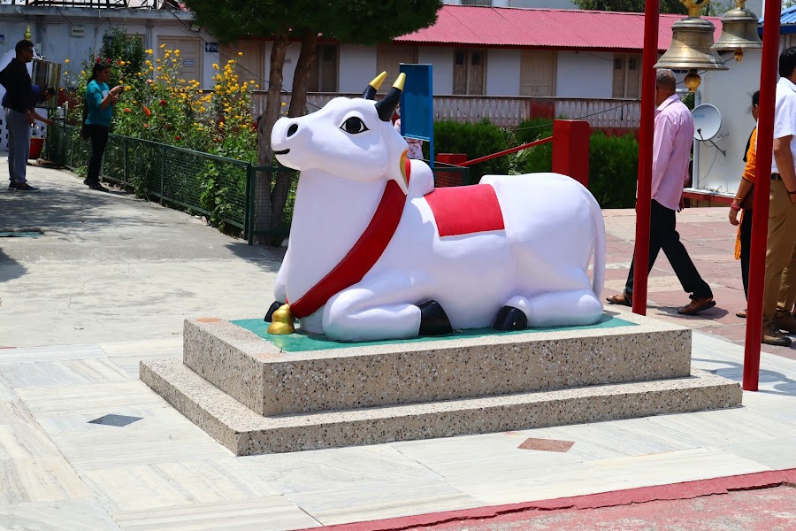 Haidakhan Temple - Photo 8