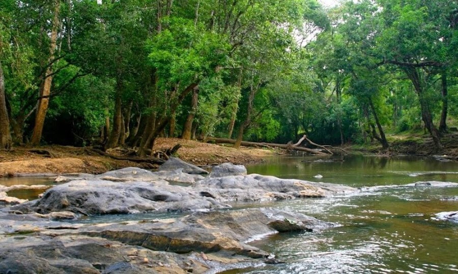 Kuruva Island - Photo 2