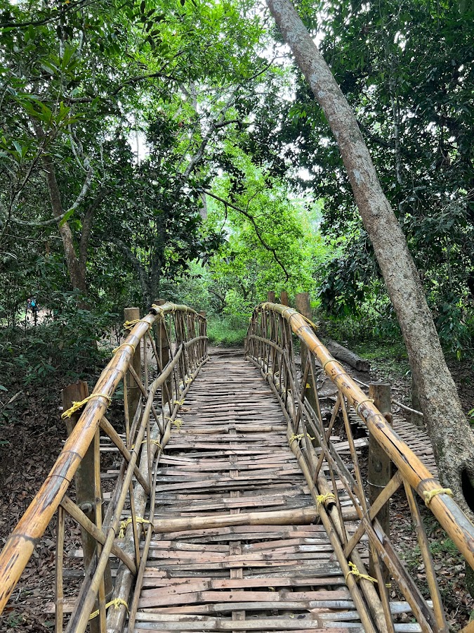 Kuruva Island - Photo 4