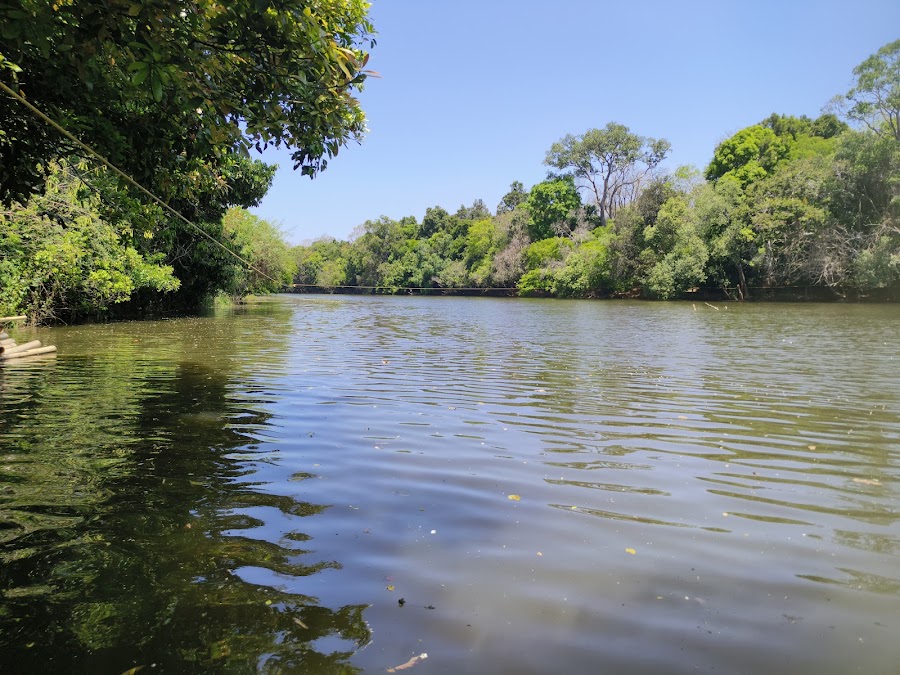 Kuruva Island - Photo 3