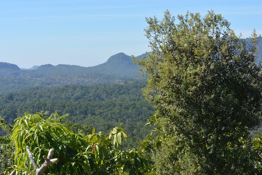 Pachmarhi Hill Station - Photo 3