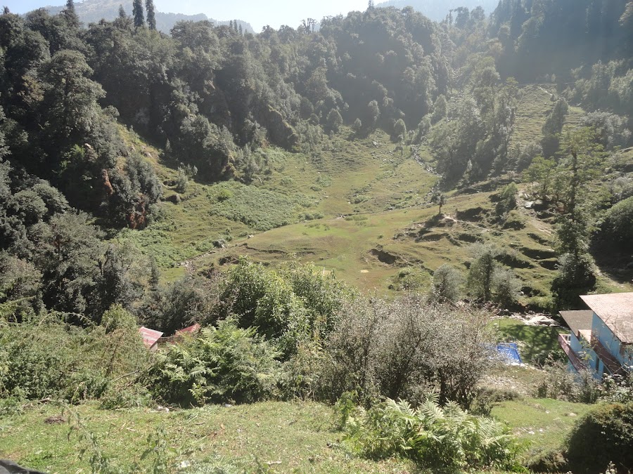 Ukhimath - Photo 4