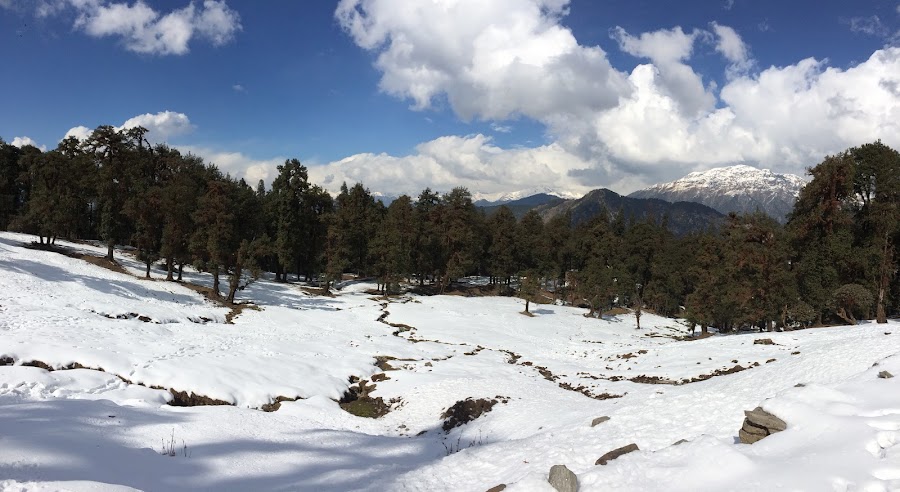 Ukhimath - Photo 5