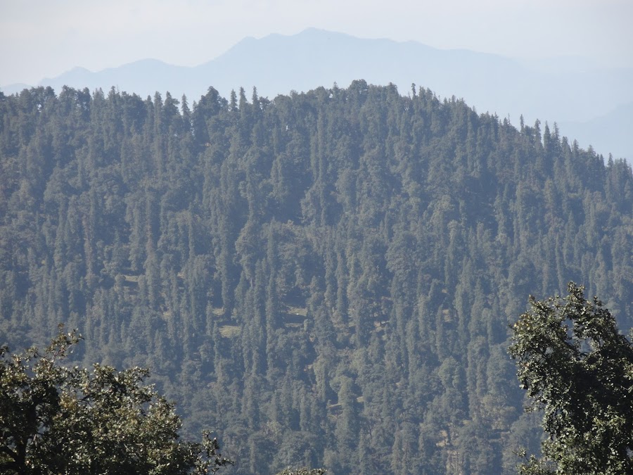 Ukhimath - Photo 10