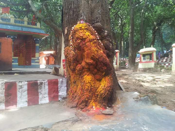 Japali Theertham - Photo 3