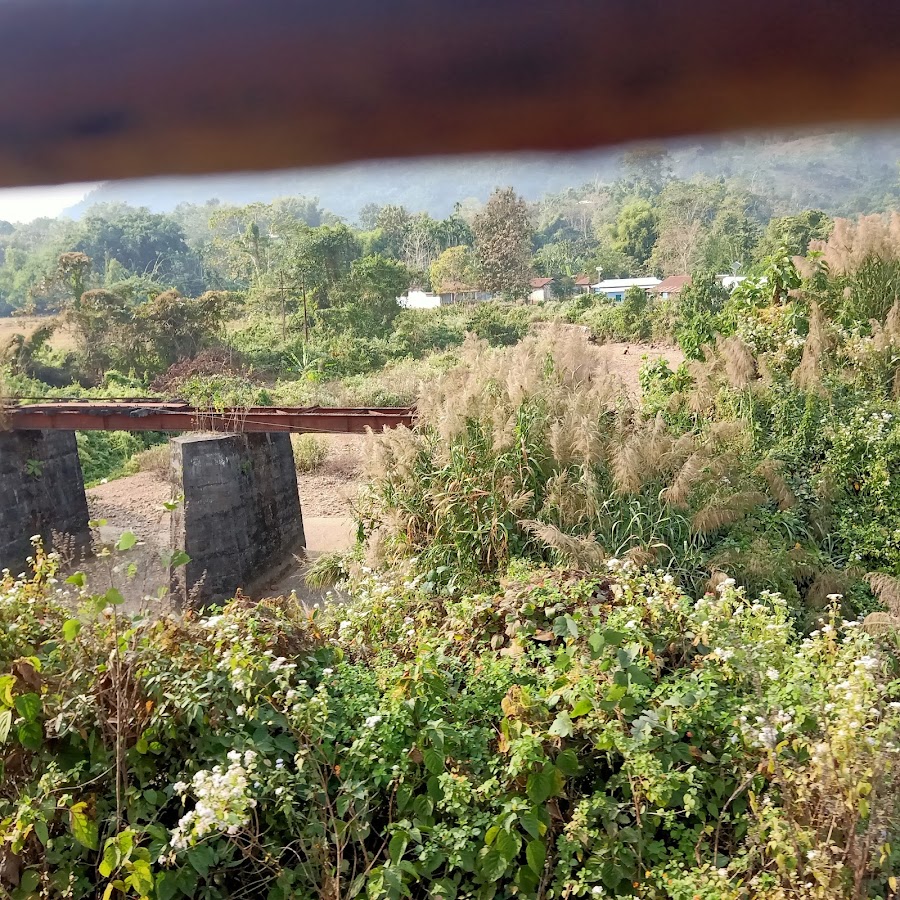 Jatinga - Photo 3