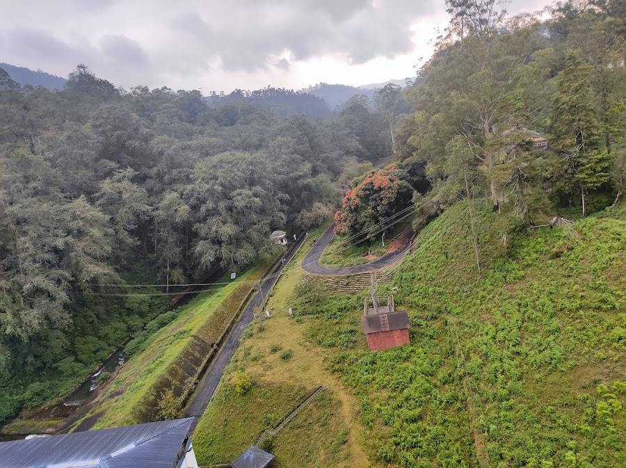 Mattupetty Dam - Photo 4