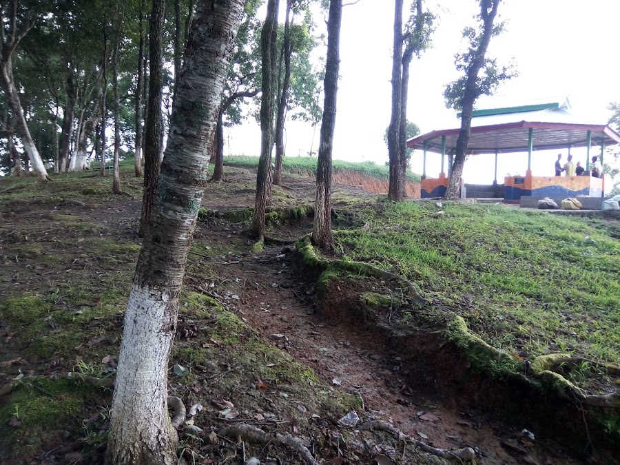 Mokokchung Park - Photo 2