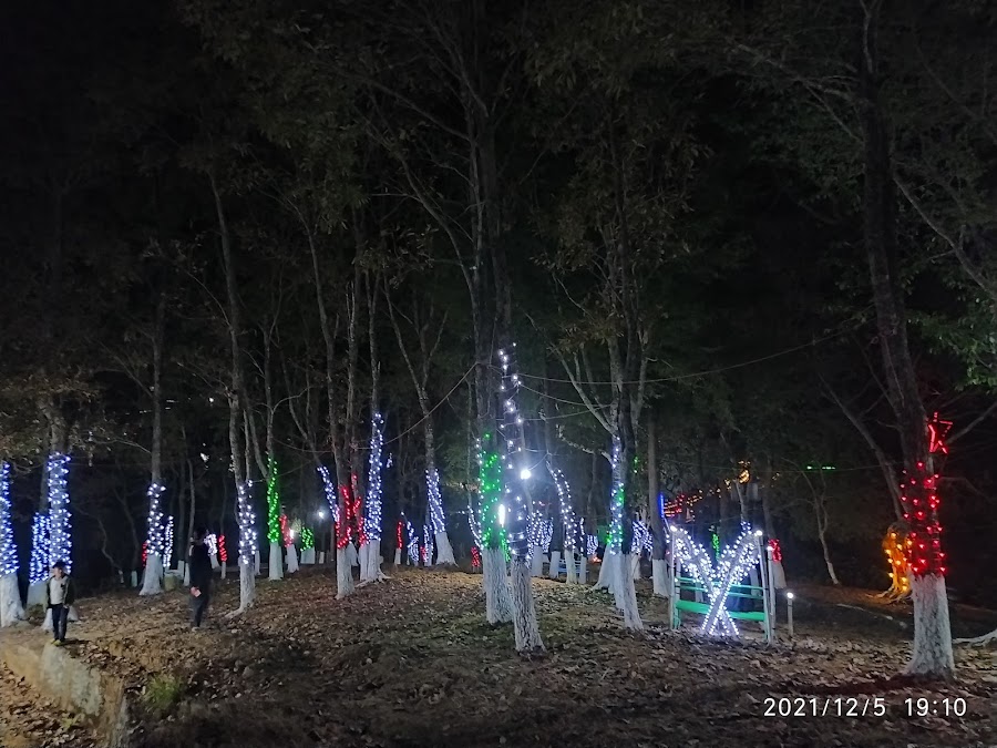 Mokokchung Park - Photo 4