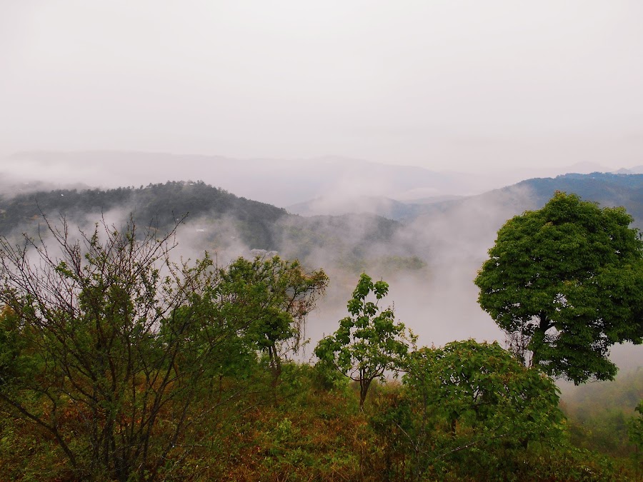 Shirui Kashong Peak - Photo 3