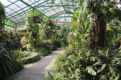 Company Garden - Photo 2