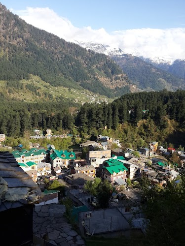 Manali - Photo 6