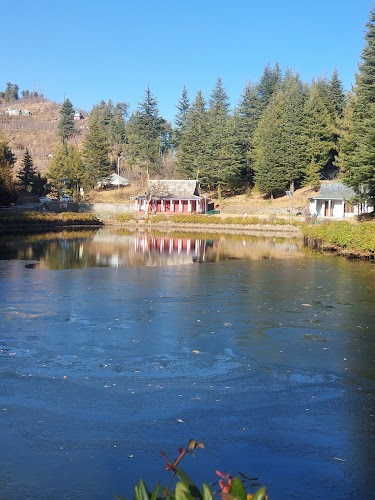 Manali - Photo 3