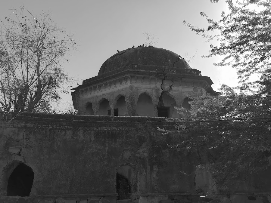 Ancient Vrindavan Palace - Photo 3