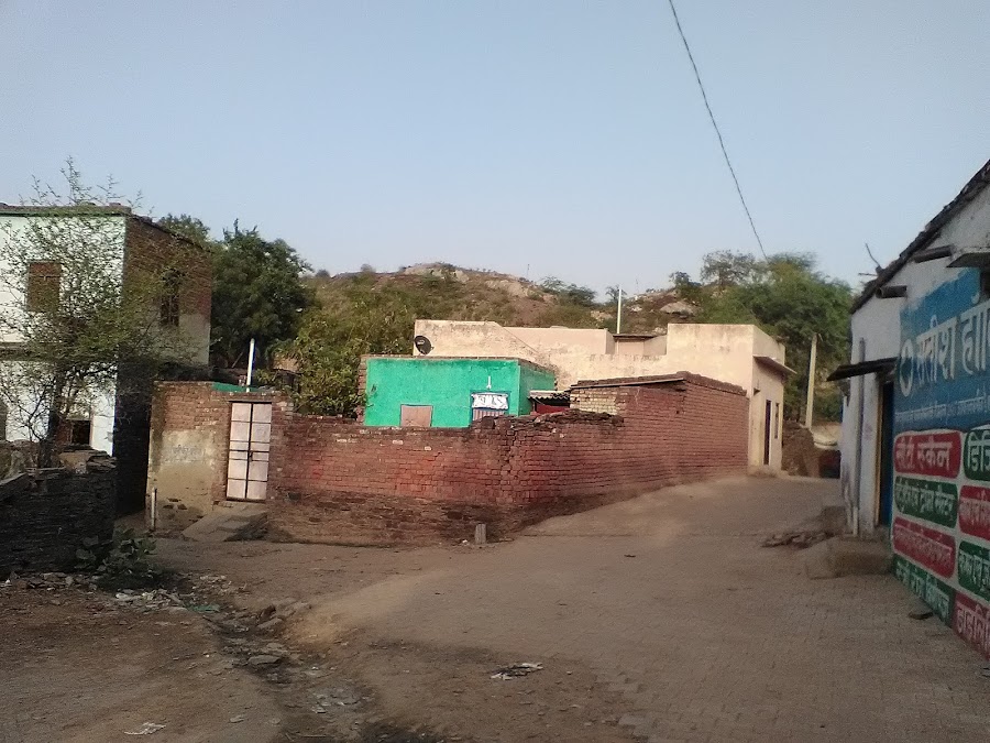 Ancient Vrindavan Palace - Photo 2