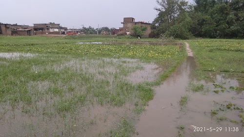 Andhra Tharhi