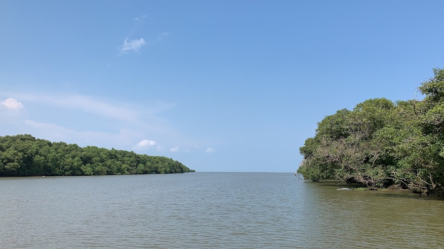 Hope Island - Photo 2